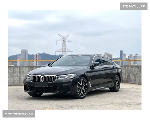 全新宝马5系(进口)配置无线充电，前排座椅加热